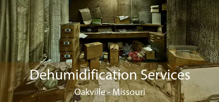 Dehumidification Services Oakville - Missouri