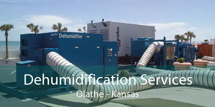 Dehumidification Services Olathe - Kansas