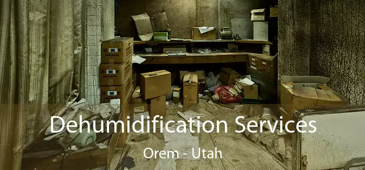 Dehumidification Services Orem - Utah