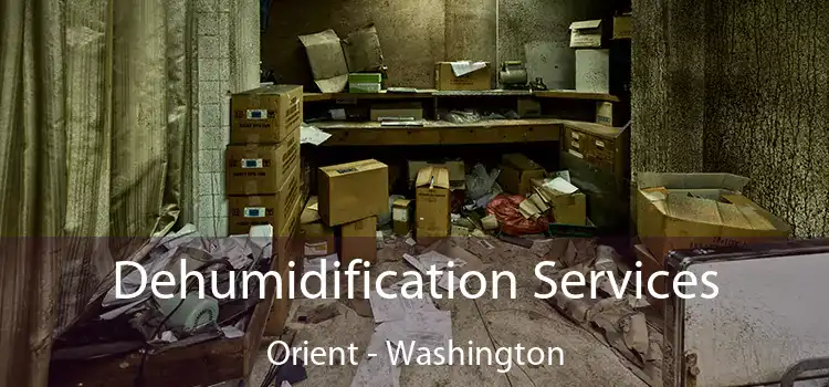 Dehumidification Services Orient - Washington