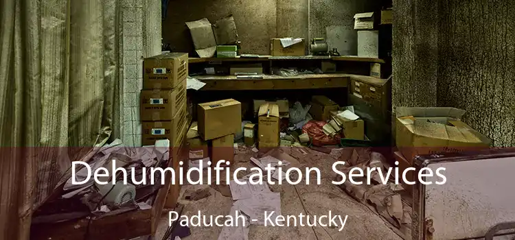 Dehumidification Services Paducah - Kentucky