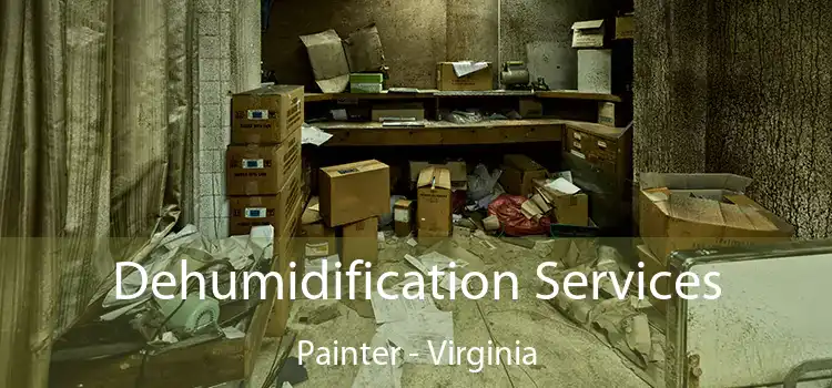 Dehumidification Services Painter - Virginia