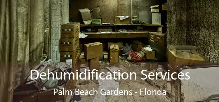 Dehumidification Services Palm Beach Gardens - Florida