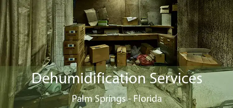 Dehumidification Services Palm Springs - Florida