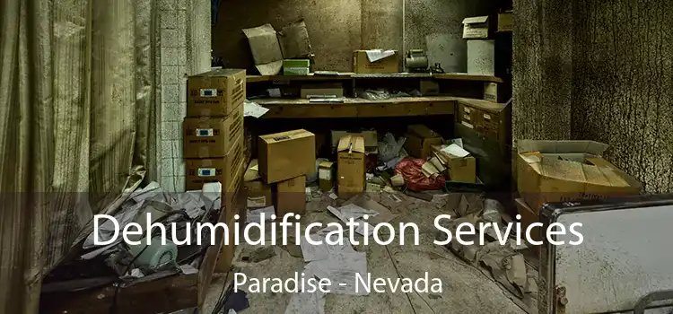 Dehumidification Services Paradise - Nevada