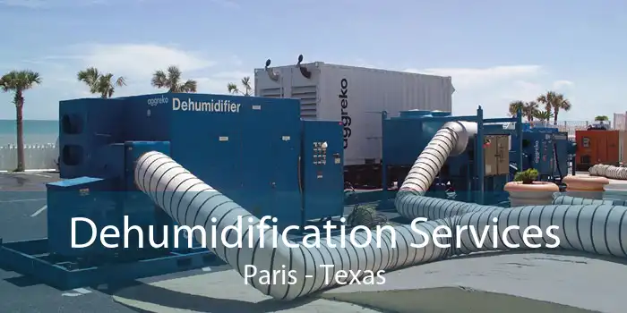 Dehumidification Services Paris - Texas