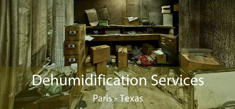 Dehumidification Services Paris - Texas