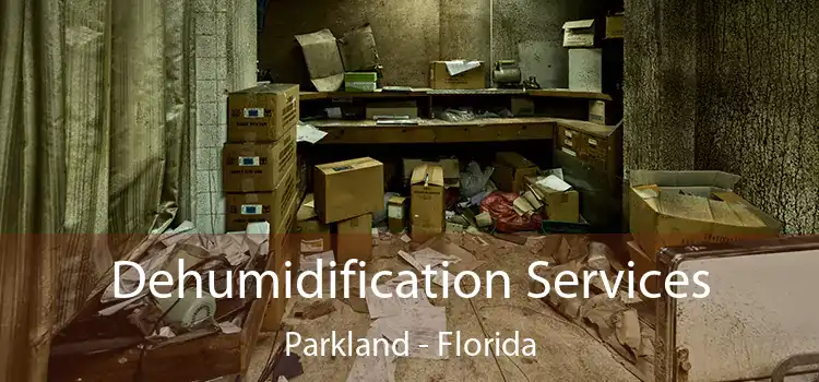 Dehumidification Services Parkland - Florida