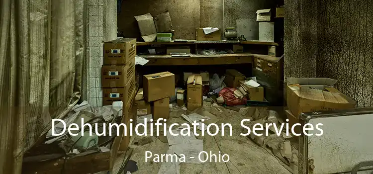 Dehumidification Services Parma - Ohio