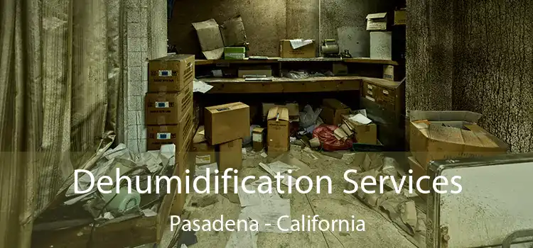 Dehumidification Services Pasadena - California