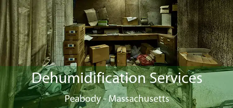 Dehumidification Services Peabody - Massachusetts