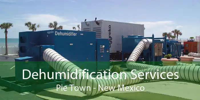 Dehumidification Services Pie Town - New Mexico