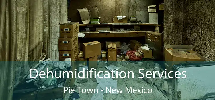 Dehumidification Services Pie Town - New Mexico