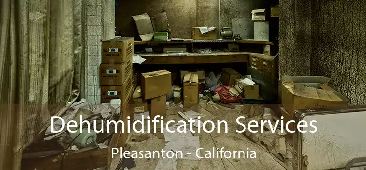 Dehumidification Services Pleasanton - California