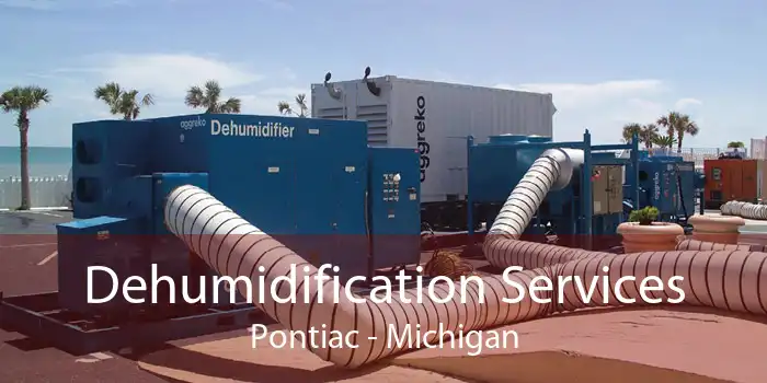 Dehumidification Services Pontiac - Michigan