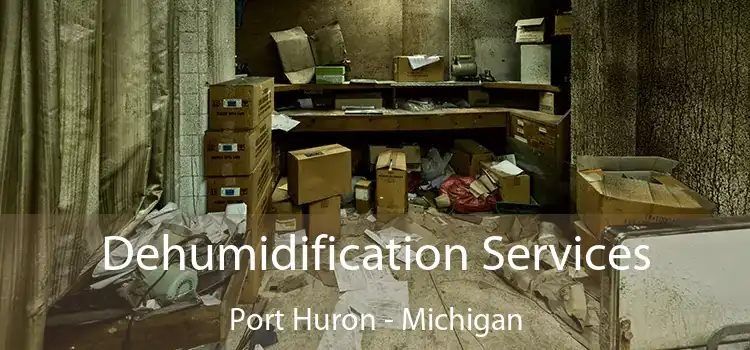 Dehumidification Services Port Huron - Michigan