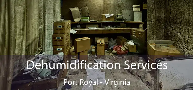 Dehumidification Services Port Royal - Virginia