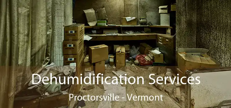 Dehumidification Services Proctorsville - Vermont