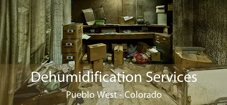 Dehumidification Services Pueblo West - Colorado