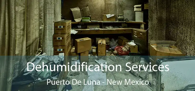 Dehumidification Services Puerto De Luna - New Mexico