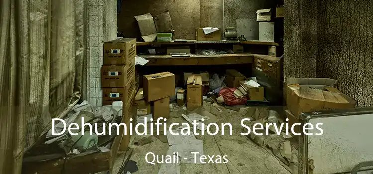 Dehumidification Services Quail - Texas