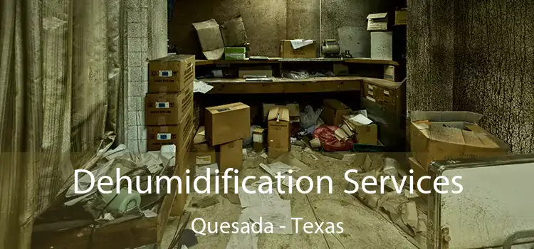 Dehumidification Services Quesada - Texas