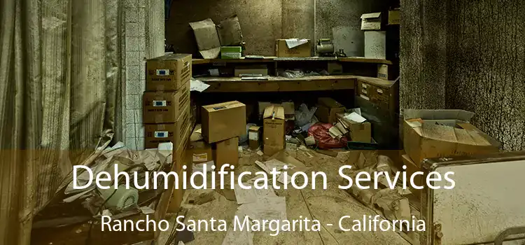 Dehumidification Services Rancho Santa Margarita - California