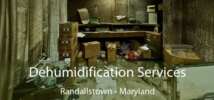 Dehumidification Services Randallstown - Maryland