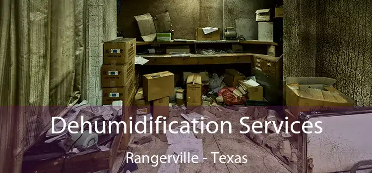 Dehumidification Services Rangerville - Texas