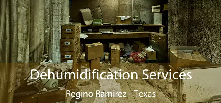 Dehumidification Services Regino Ramirez - Texas