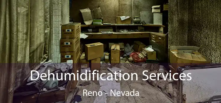 Dehumidification Services Reno - Nevada