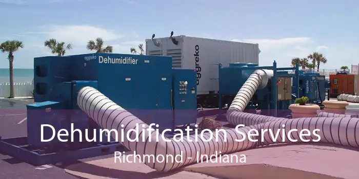 Dehumidification Services Richmond - Indiana