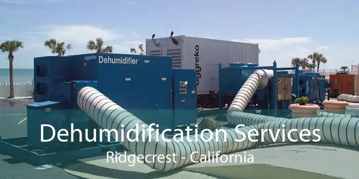 Dehumidification Services Ridgecrest - California
