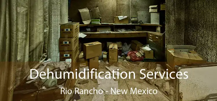 Dehumidification Services Rio Rancho - New Mexico