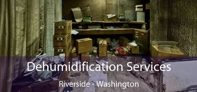 Dehumidification Services Riverside - Washington