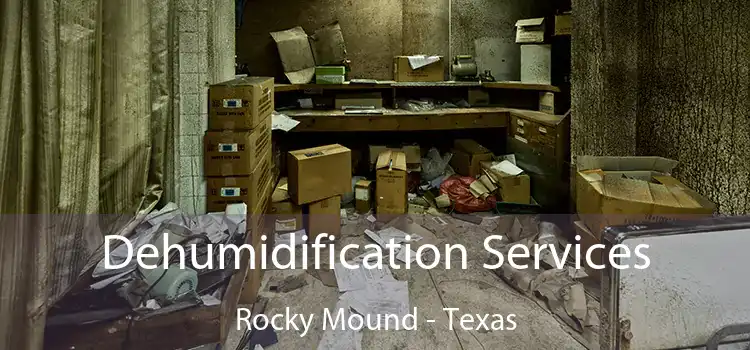 Dehumidification Services Rocky Mound - Texas