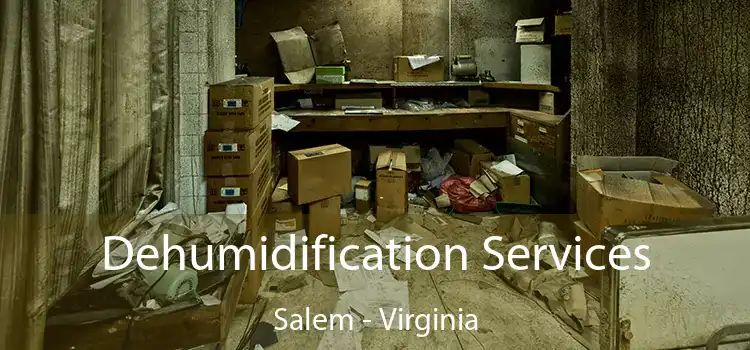 Dehumidification Services Salem - Virginia