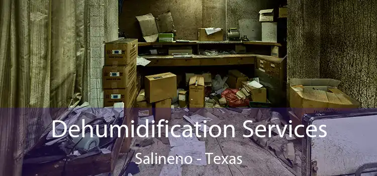 Dehumidification Services Salineno - Texas