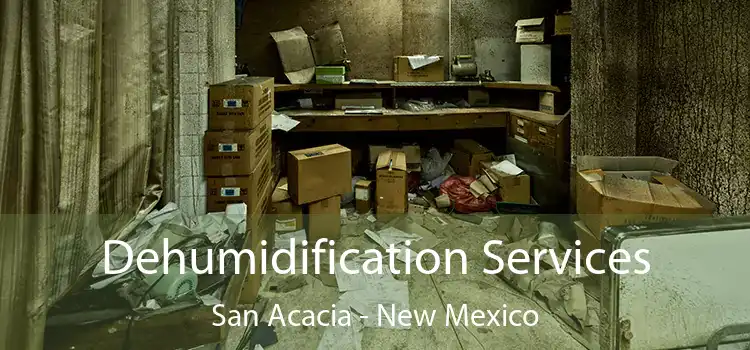 Dehumidification Services San Acacia - New Mexico