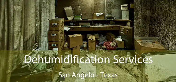 Dehumidification Services San Angelo - Texas