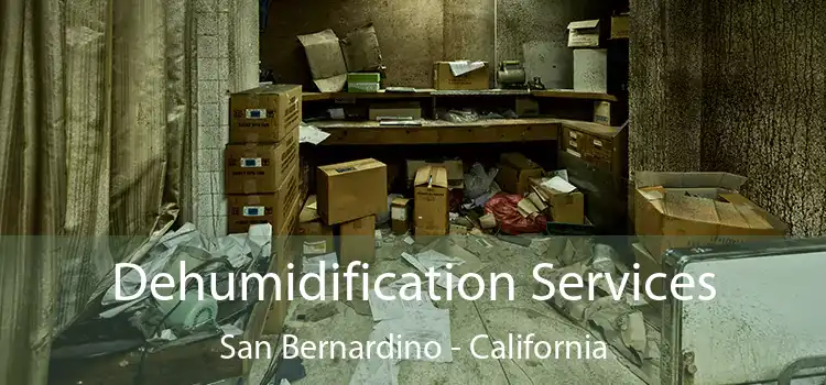 Dehumidification Services San Bernardino - California