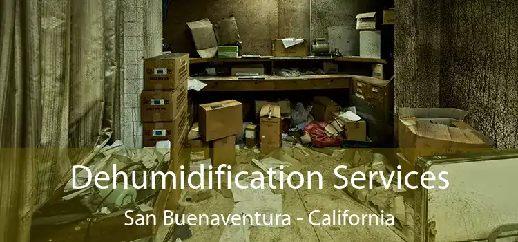 Dehumidification Services San Buenaventura - California