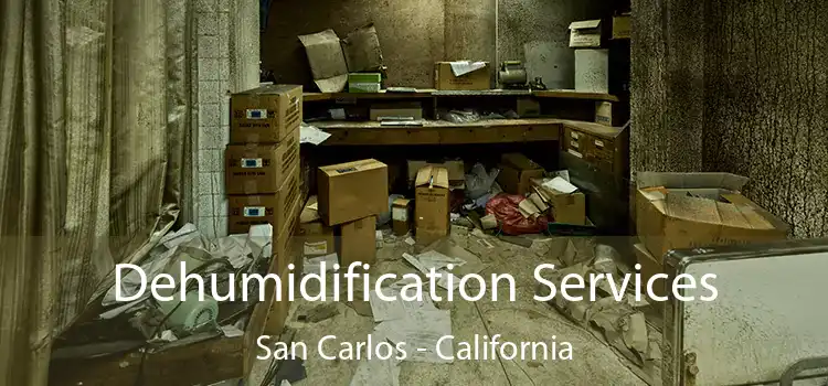 Dehumidification Services San Carlos - California