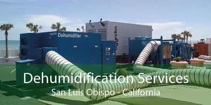 Dehumidification Services San Luis Obispo - California