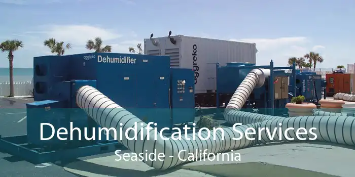 Dehumidification Services Seaside - California