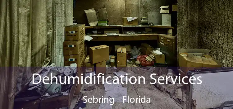 Dehumidification Services Sebring - Florida