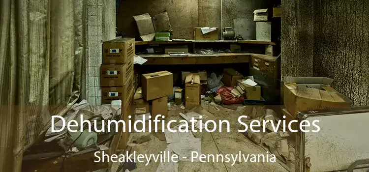 Dehumidification Services Sheakleyville - Pennsylvania