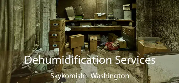 Dehumidification Services Skykomish - Washington