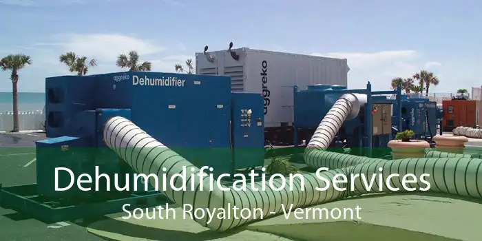 Dehumidification Services South Royalton - Vermont