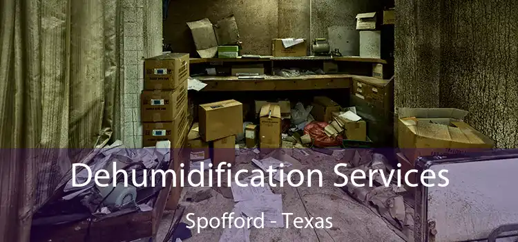 Dehumidification Services Spofford - Texas